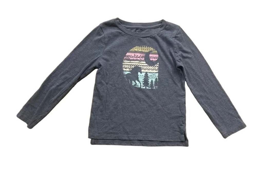 Carhartt Long Sleeve Graphic T-Shirt Size 3T Blue Wild